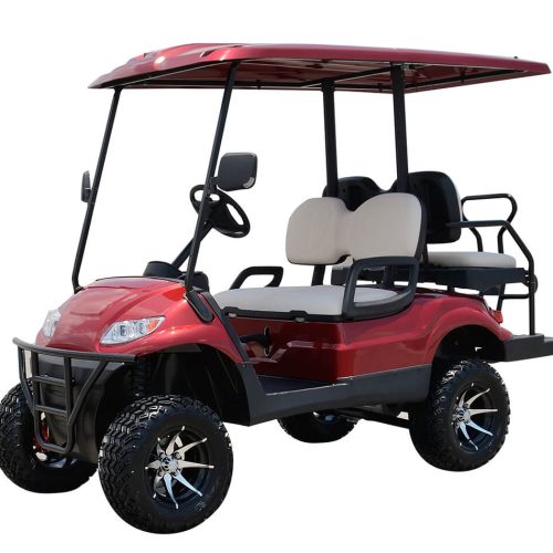 4 Seater Lifted Buggy