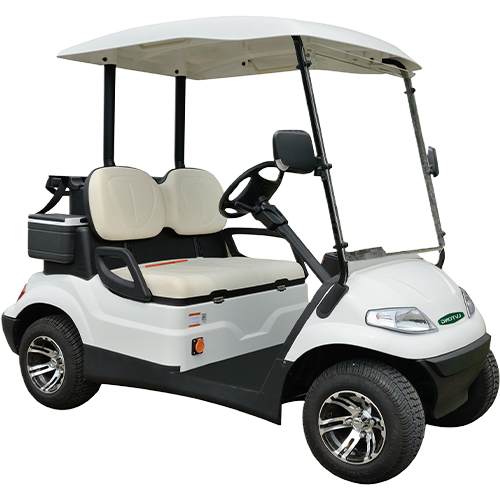 Lvtong 2 Seater Golf Cart